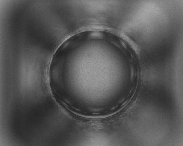 X0000048531194200503171503.png