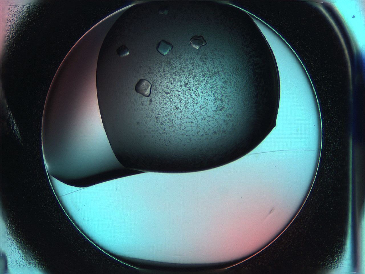 05g9_A4_ImagerDefaults_8.jpg