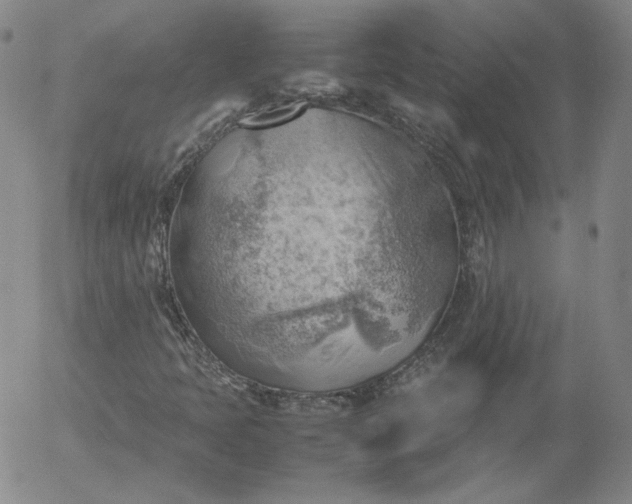X0000054651397200508091629.png