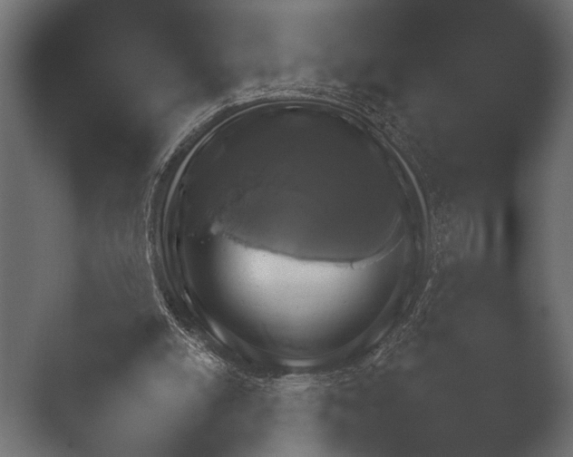 X0000052730054200507141556.png