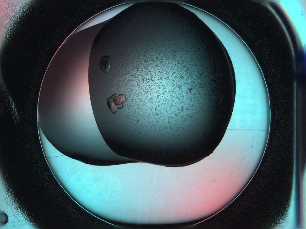 05g9_A5_ImagerDefaults_8.jpg