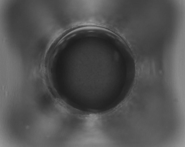 X0000054730102200508171902.png