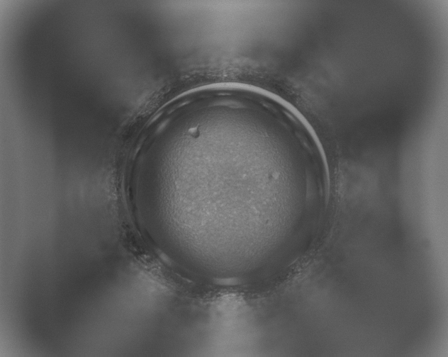 X0000052280258200507132036.png