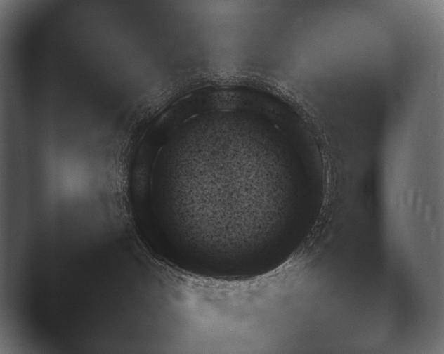 X0000048530048200503171522.png