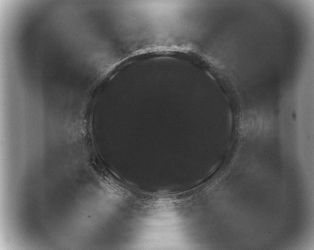 X0000038681161200409281315.png