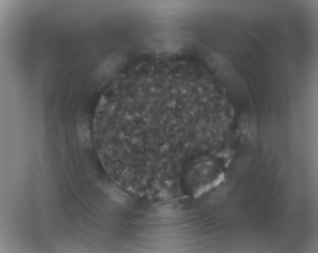 X0000053461252200508112148.png