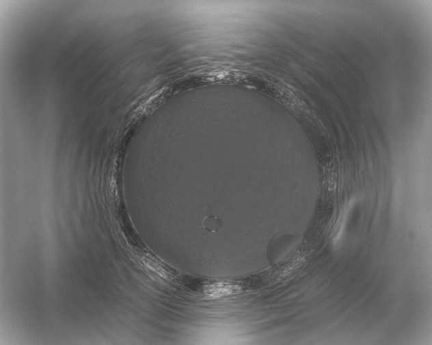 X0000054350754200508190128.png