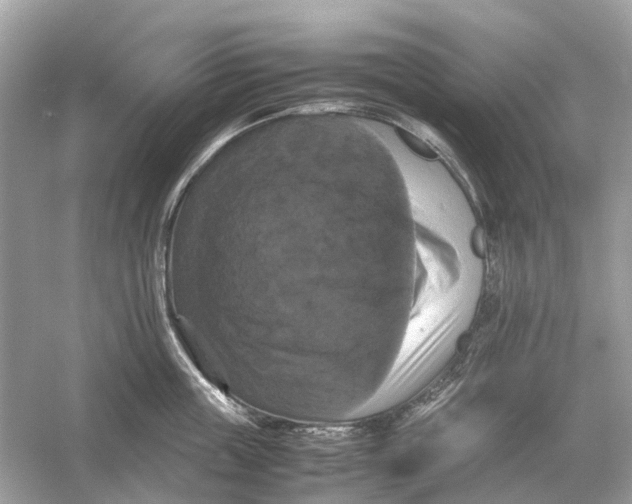 X0000054350859200508190126.png
