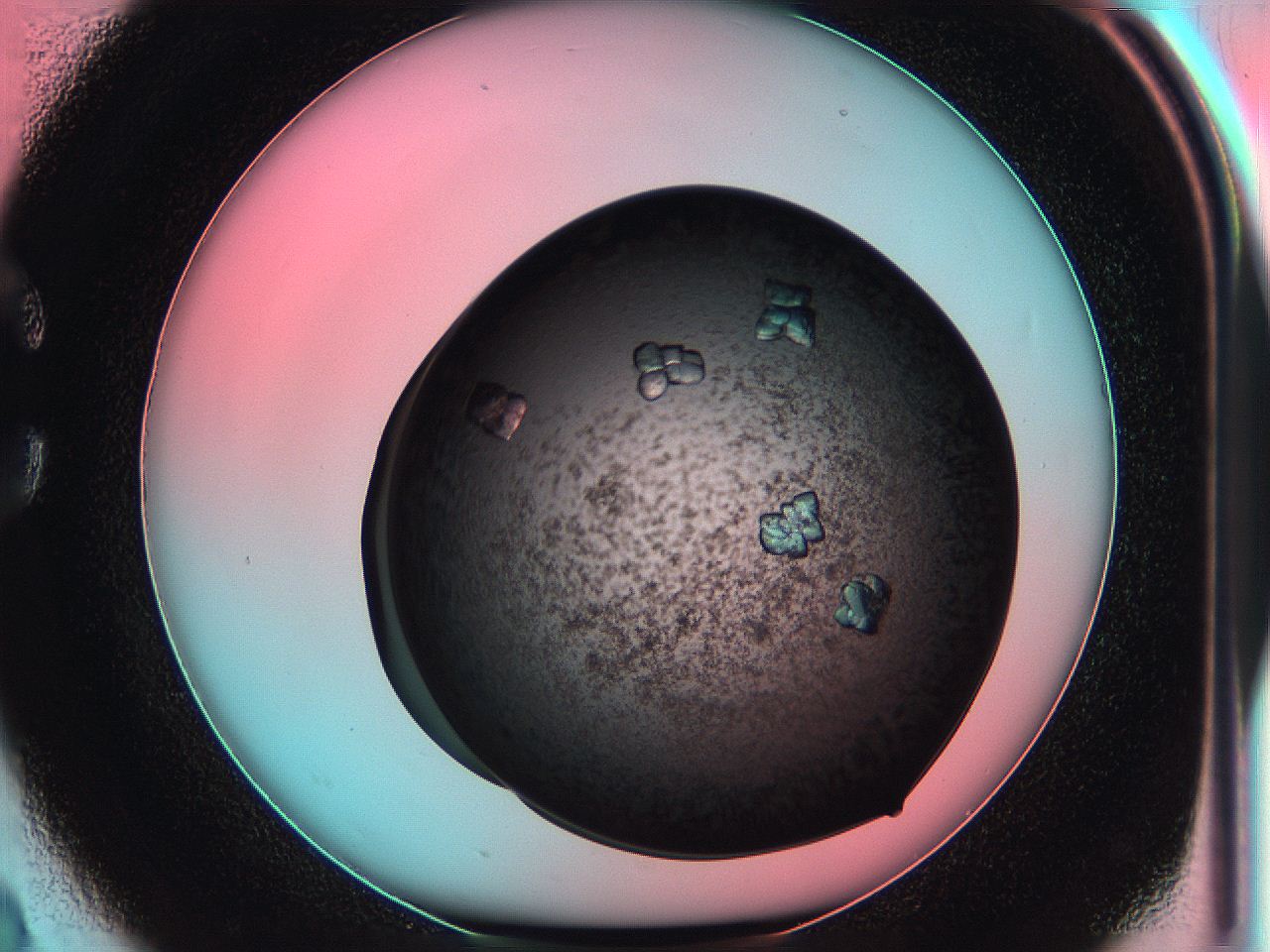 05g9_C2_ImagerDefaults_7.jpg
