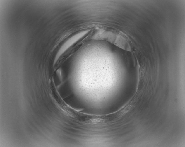 X0000054300158200508042319.png