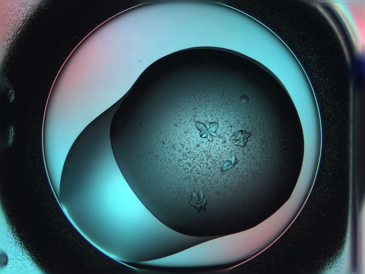 05g9_C5_ImagerDefaults_8.jpg