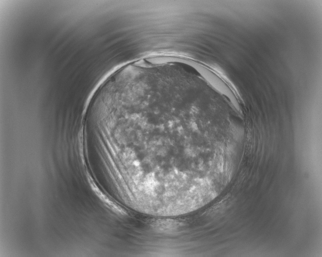 X0000054351100200508190122.png