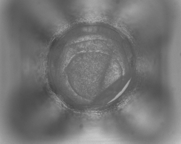 X0000048330585200503311922.png