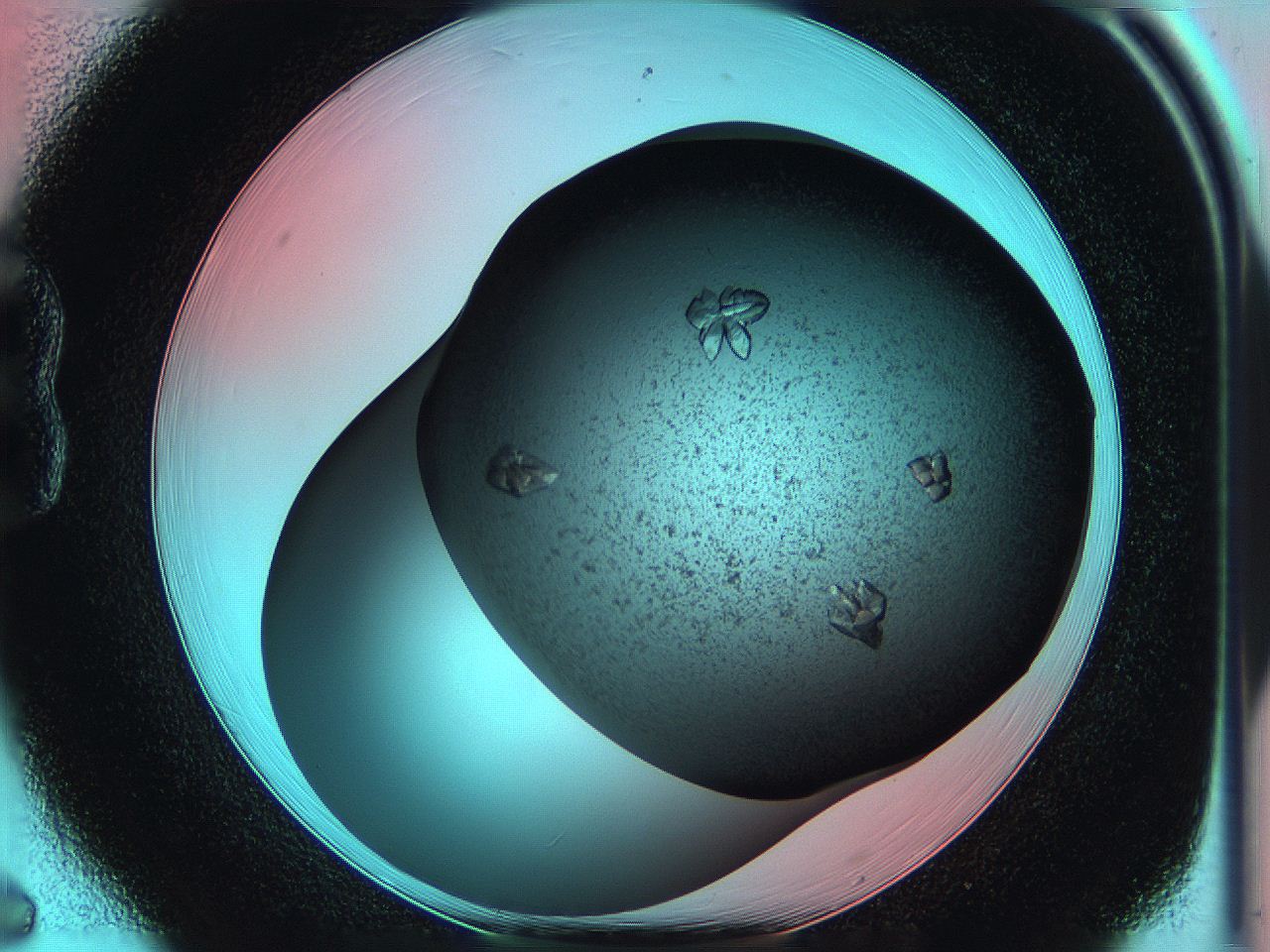 05g9_B6_ImagerDefaults_8.jpg