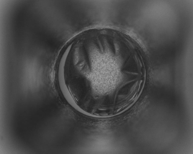 X0000044231268200501101629.png