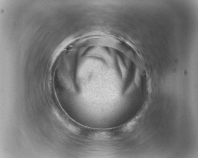 X0000055070152200508232337.png