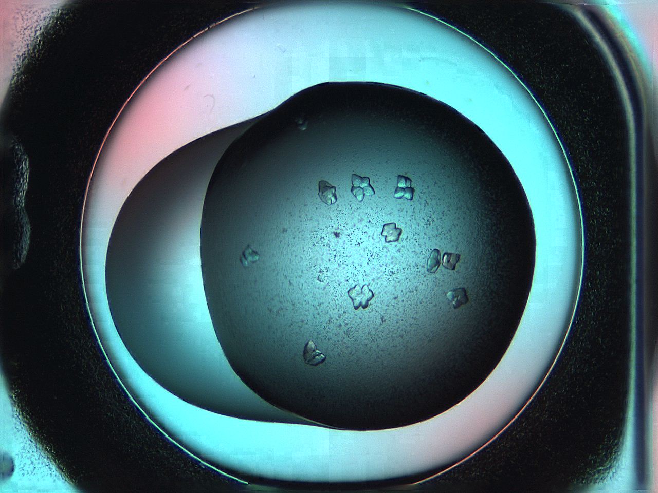 05g9_B5_ImagerDefaults_7.jpg