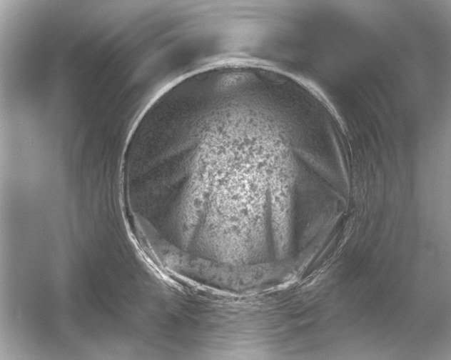 X0000054300903200508042307.png