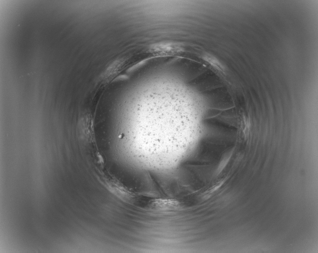 X0000054300429200508042315.png