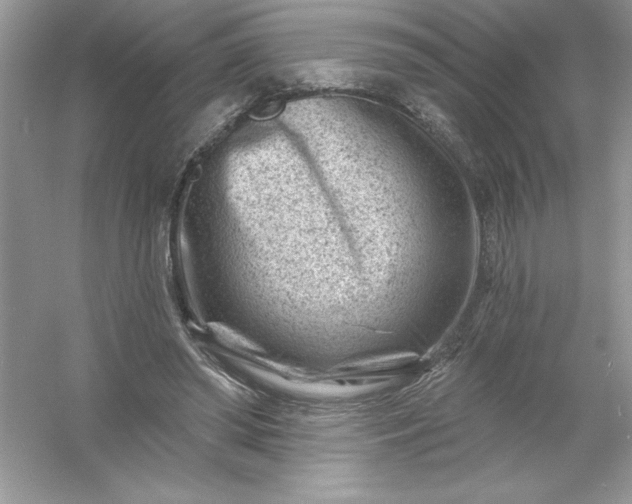 X0000054300398200508042315.png