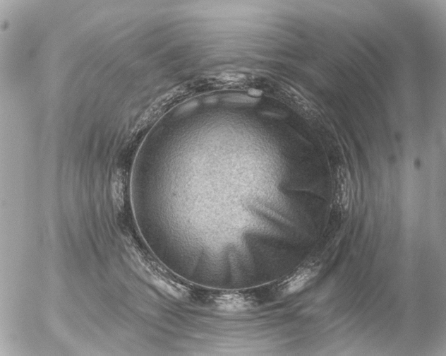 X0000055070562200508232332.png