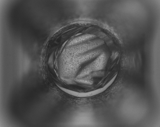 X0000045461352200502081408.png