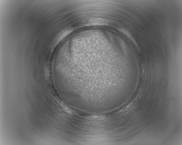 X0000054300874200508042307.png