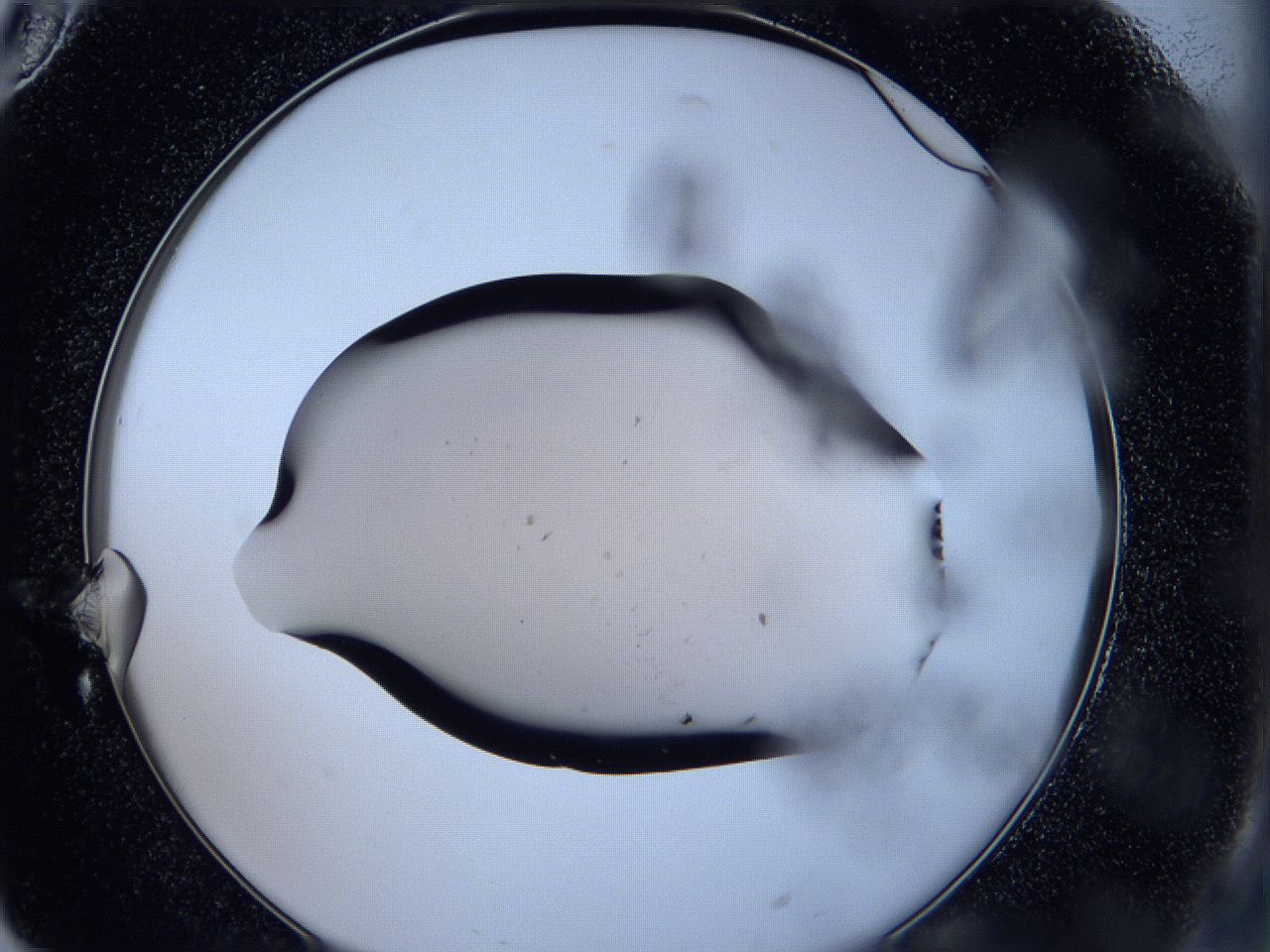 05gg_F10_ImagerDefaults_9.jpg