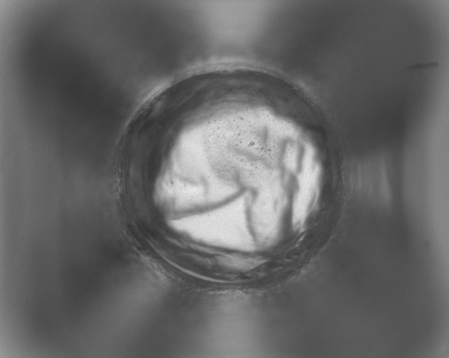 X0000054971405200509051452.png