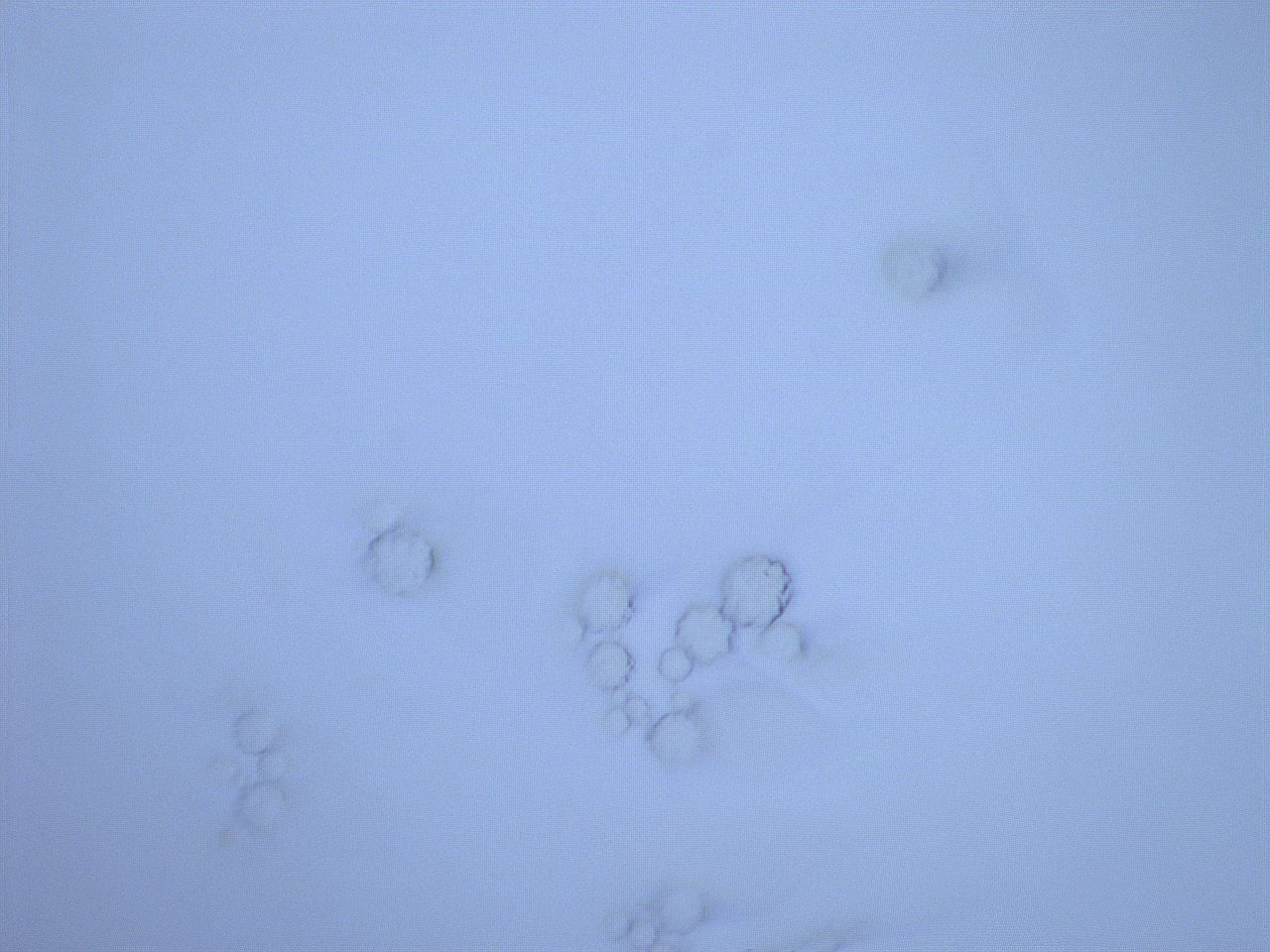 05h0_D12_ImagerDefaults_9.jpg