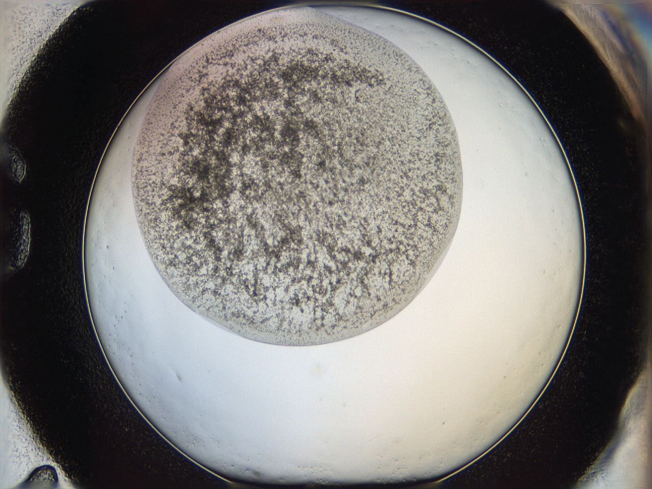 05h7_G11_ImagerDefaults_0.jpg