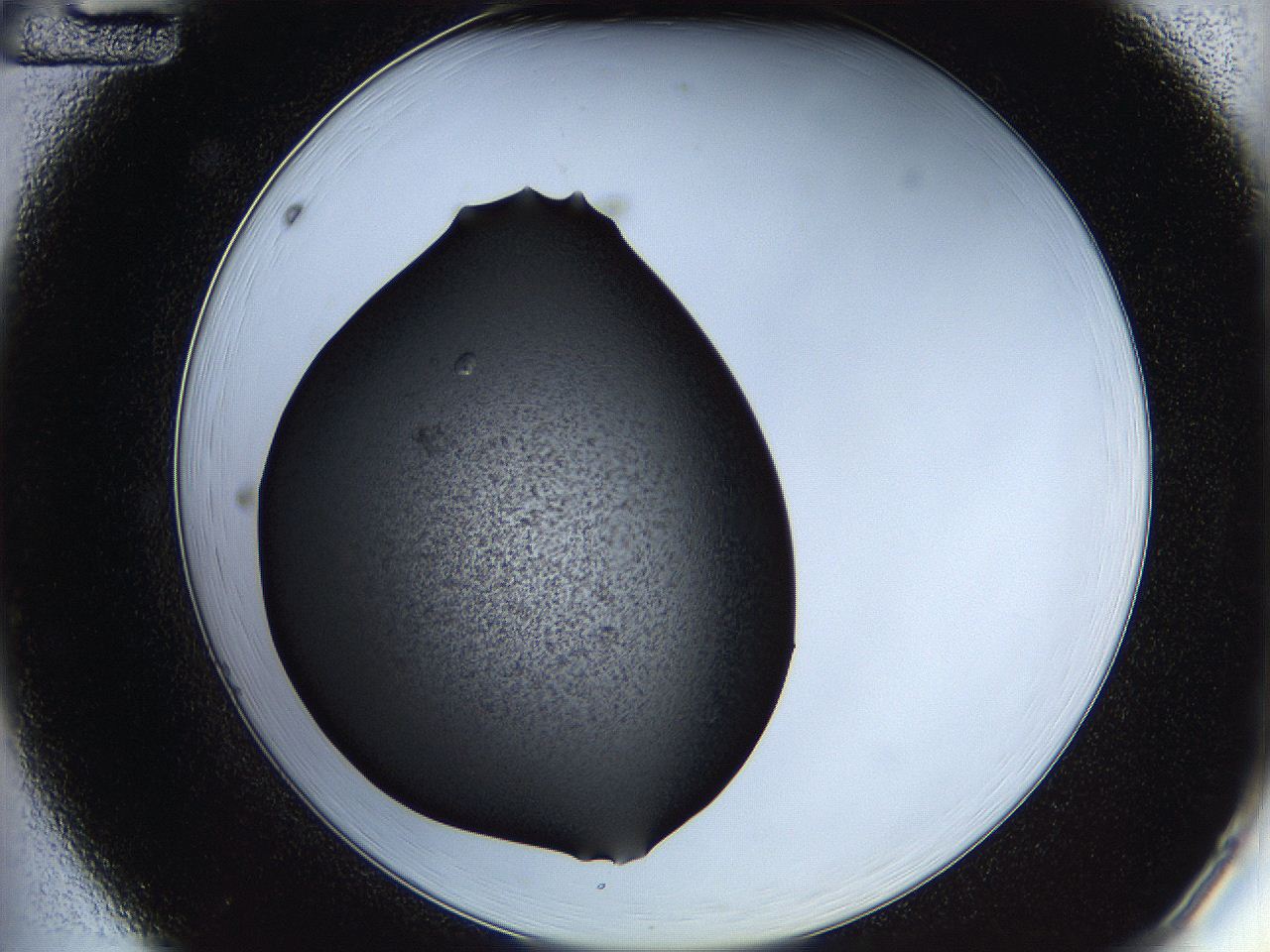05h8_A12_ImagerDefaults_7.jpg