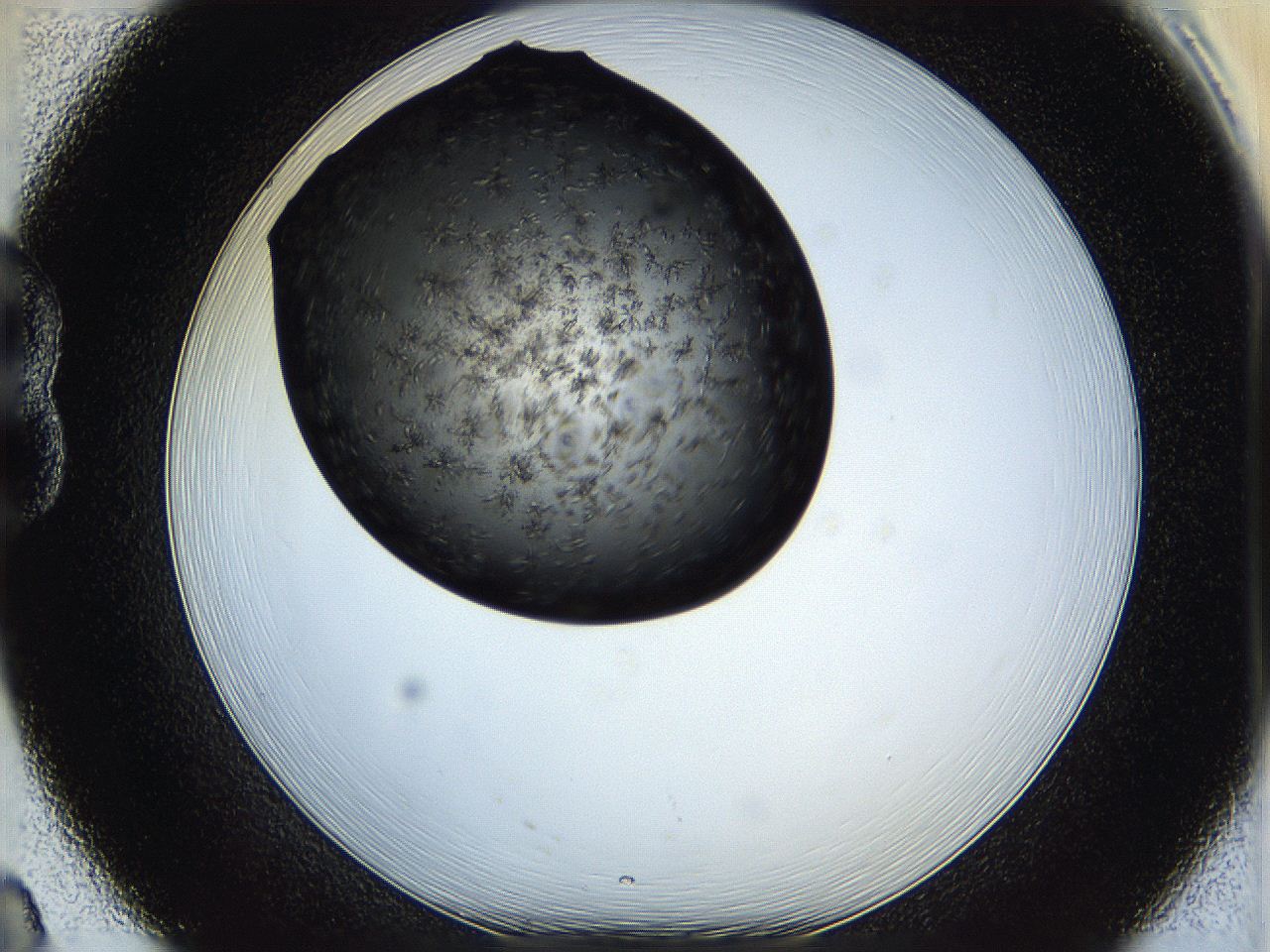 05h8_B8_ImagerDefaults_6.jpg