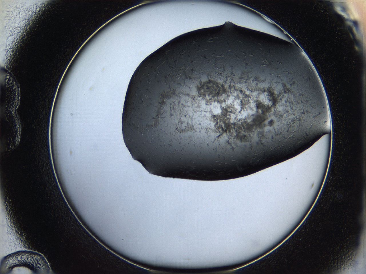05h8_B12_ImagerDefaults_6.jpg