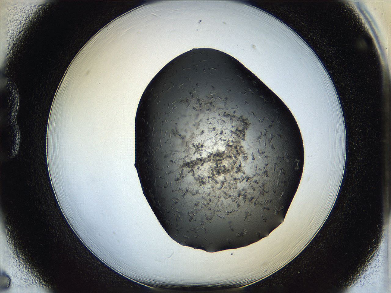 05h8_B6_ImagerDefaults_6.jpg