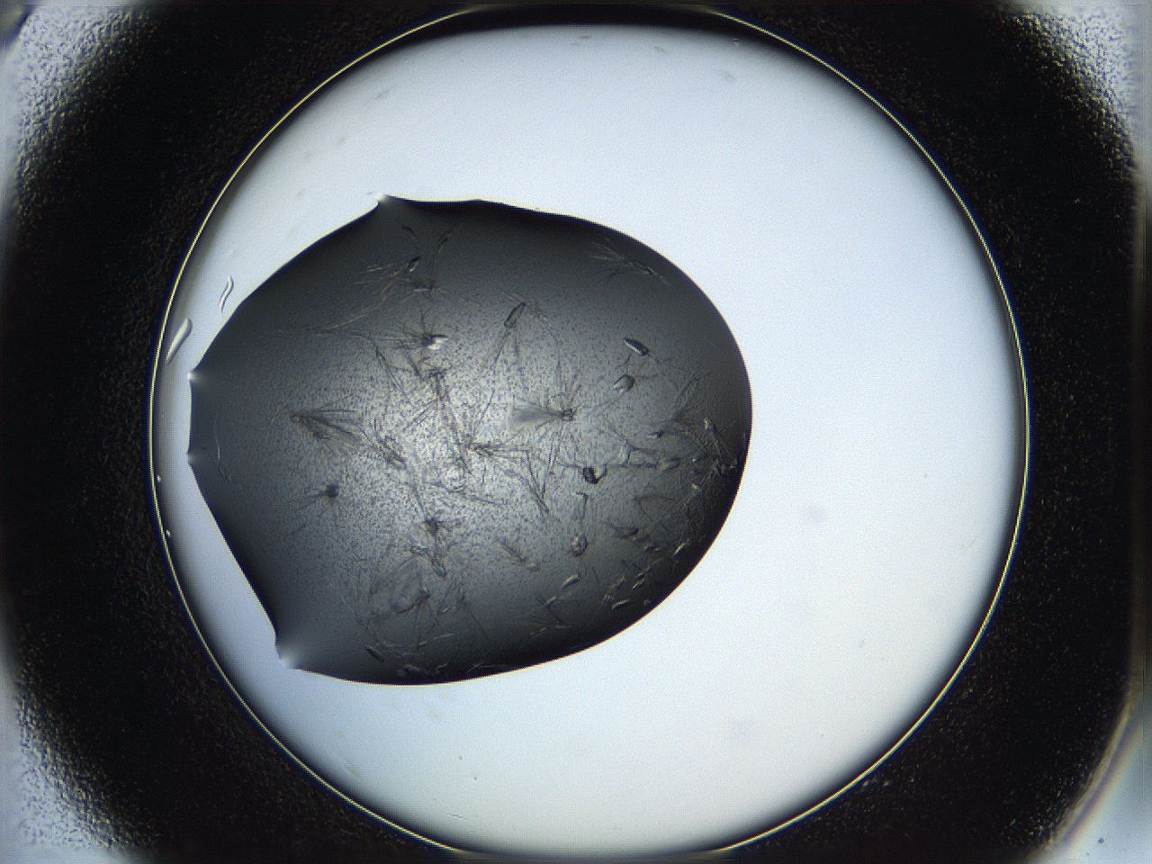 05h8_A9_ImagerDefaults_7.jpg