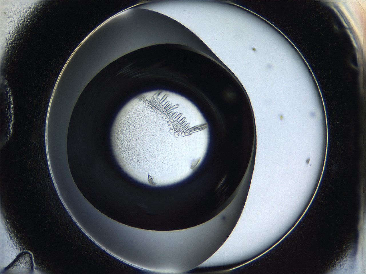 05h8_D11_ImagerDefaults_8.jpg