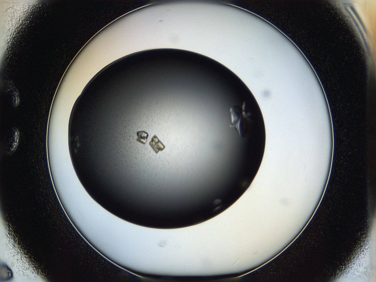 05h8_C6_ImagerDefaults_8.jpg