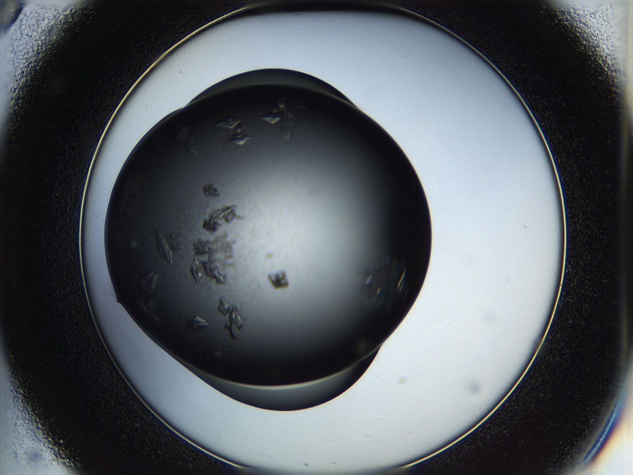 05h8_C8_ImagerDefaults_8.jpg