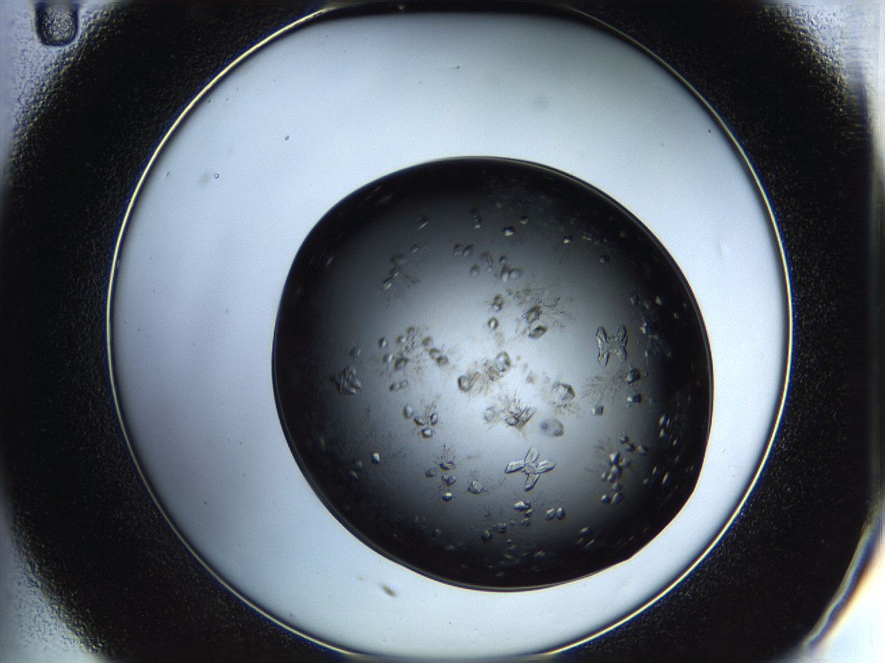 05h8_C11_ImagerDefaults_7.jpg