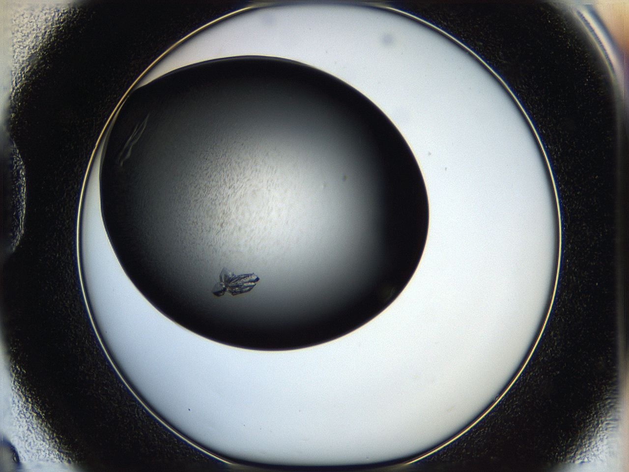 05h8_D8_ImagerDefaults_8.jpg