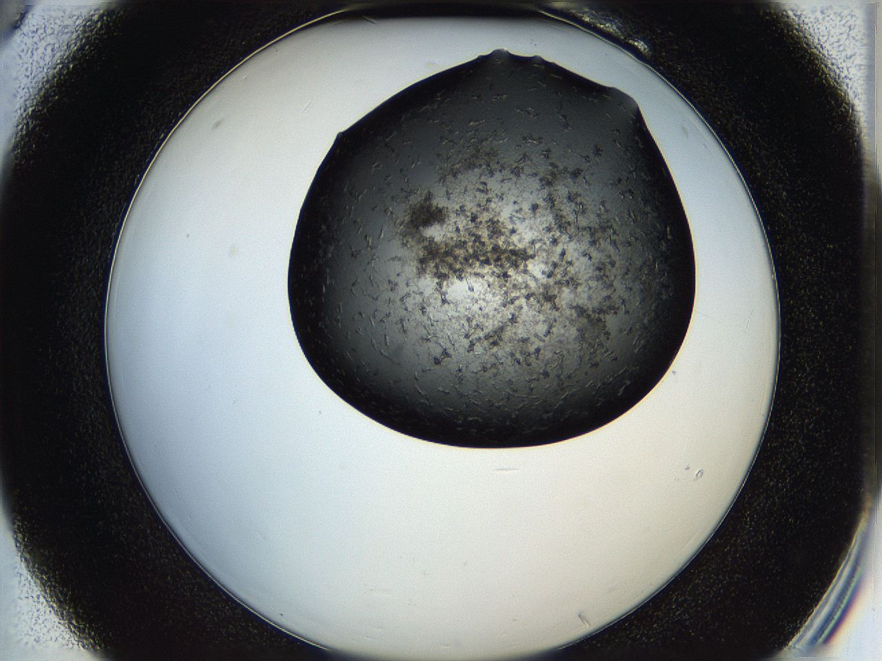 05h9_B6_ImagerDefaults_6.jpg