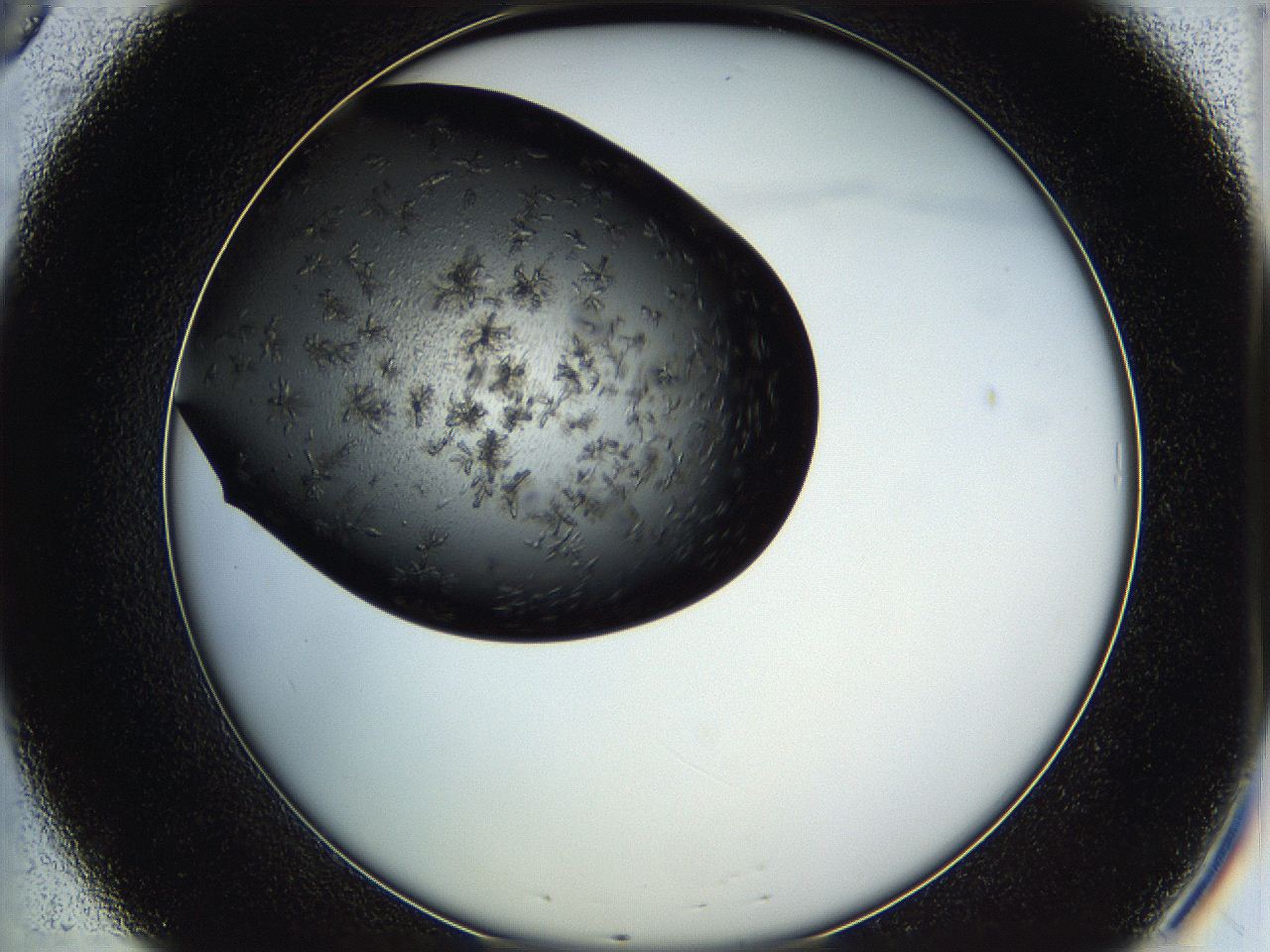 05h9_B8_ImagerDefaults_6.jpg