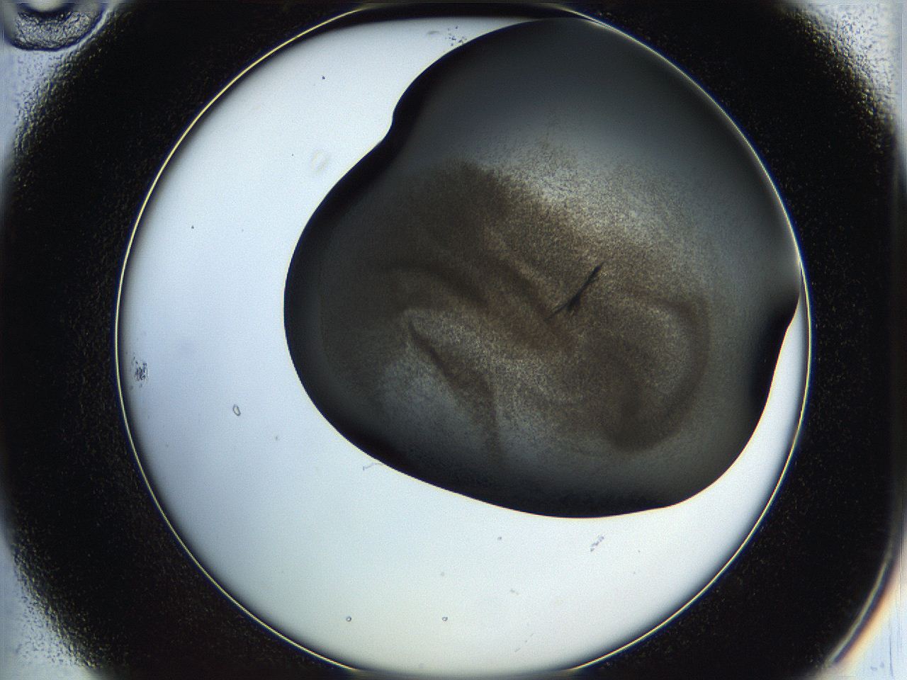 05h9_B10_ImagerDefaults_6.jpg