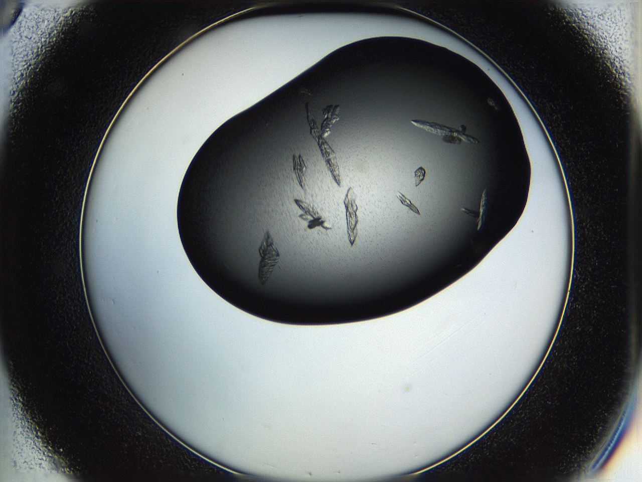 05h9_C8_ImagerDefaults_8.jpg