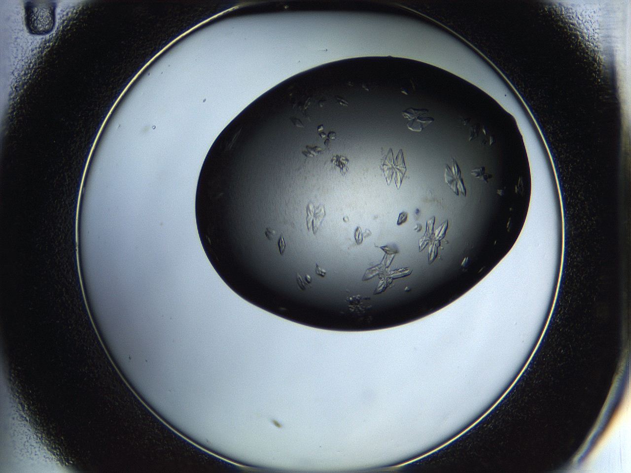 05h9_C11_ImagerDefaults_8.jpg