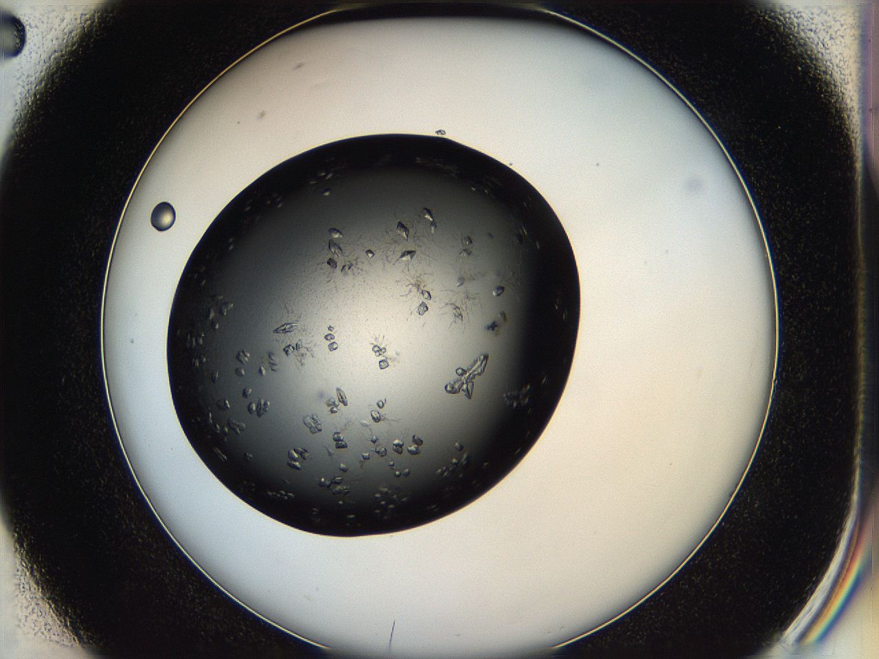 05h9_D2_ImagerDefaults_7.jpg