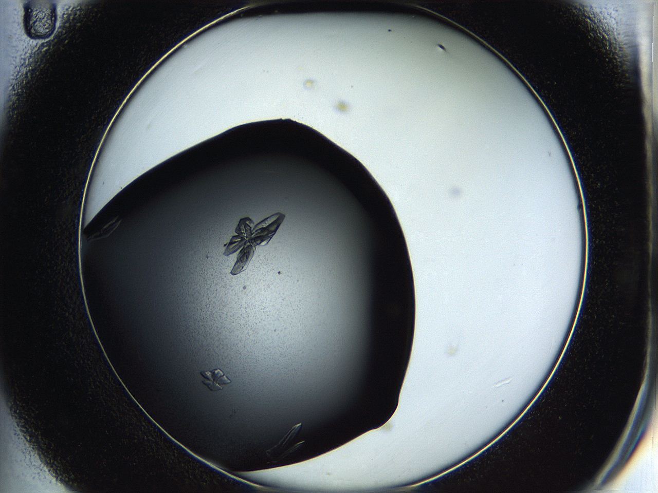 05h9_D11_ImagerDefaults_8.jpg