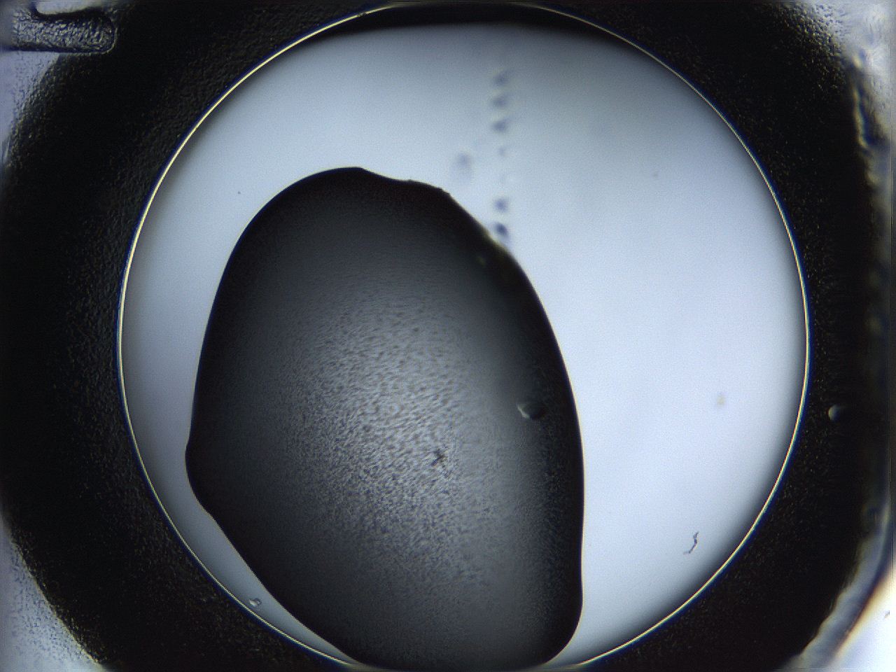 05h9_D12_ImagerDefaults_8.jpg