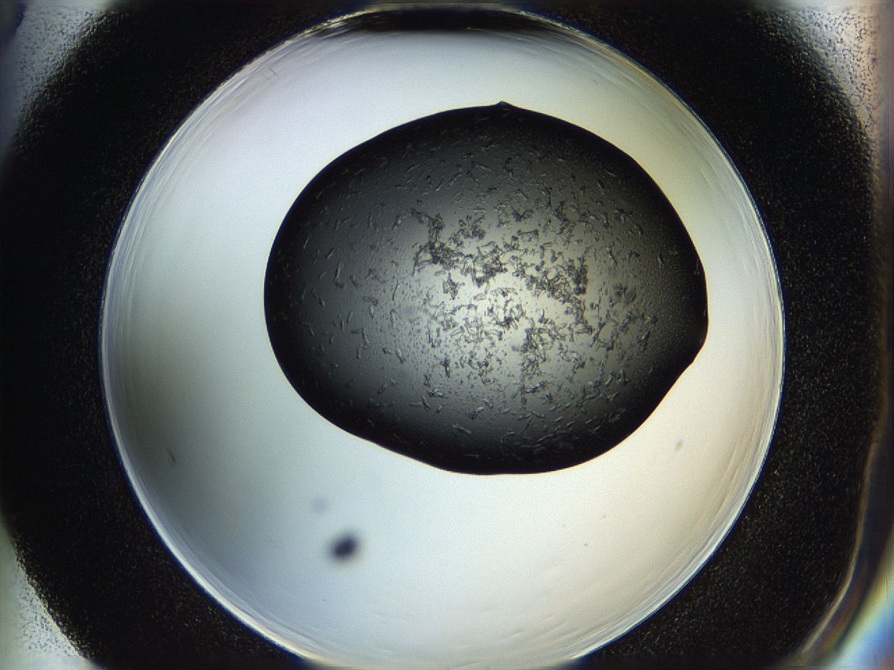 05h9_F5_ImagerDefaults_6.jpg